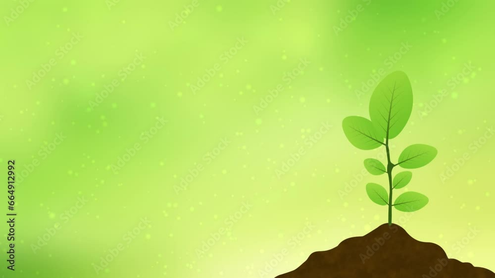 beautiful plant growing animation on green blur background. concept for farming, success, growth and agriculture. beautiful plant growing animation on green blur background. concept for farming, success, growth and agriculture.