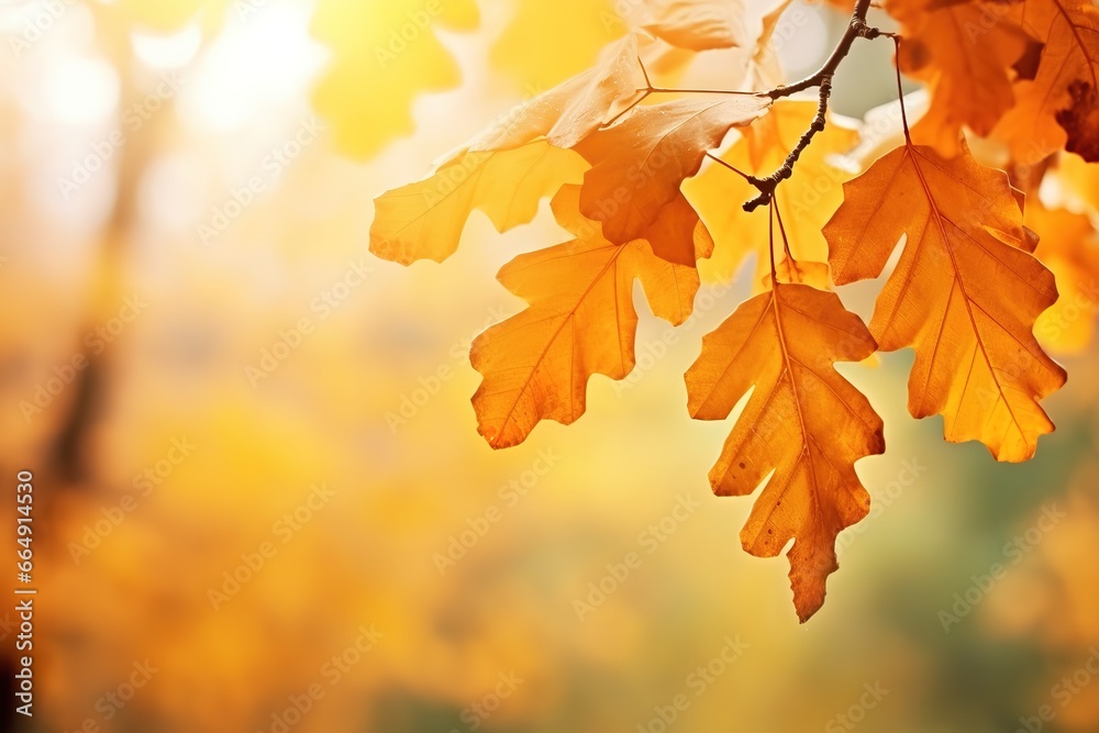 maple leaves background in bokeh style. Generative AI maple leaves background in bokeh style. Generative AI