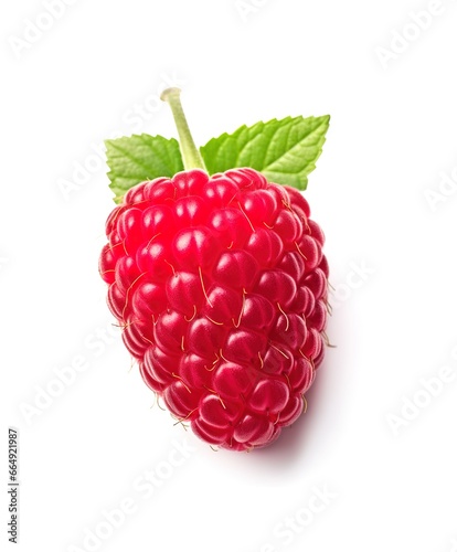 raspberry isolated on white. Generative AI