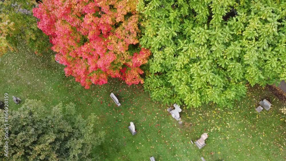 Vieux cimetière avec pierres tombales en automne au Québec