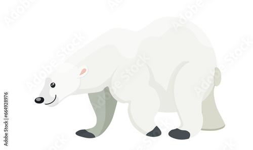 Cute walking polar bear, wild mammal, wildlife nature. Arctic predator, huge strength, winter design animal, endangered species. Isolated on white background. Vector illustration