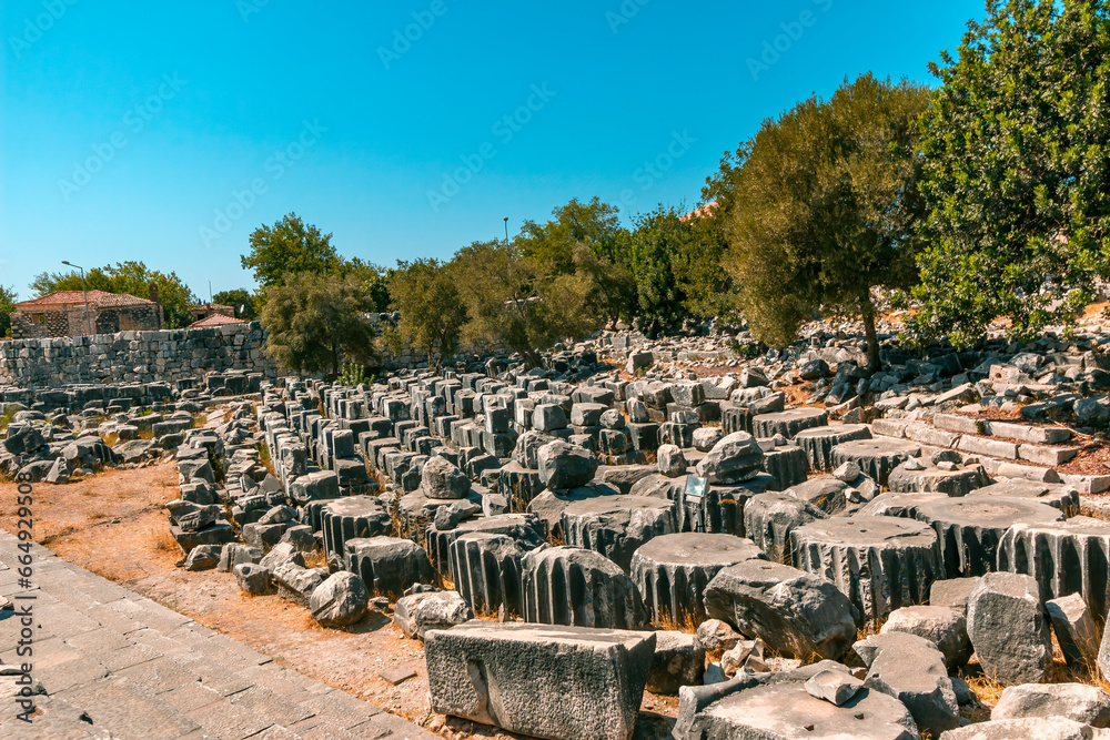 Obraz premium Ancient temple of Apollo in the city of Didim, Aydin