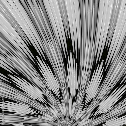 exploding white shades of grey and black floral fantasy petals rotating motion blur