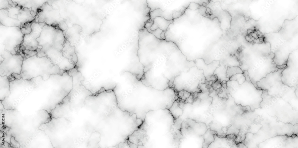Panoramic white background marble stone texture for design. Natural stone Marble white background wall surface black pattern. White and black marble texture background. Luxurious material interior.