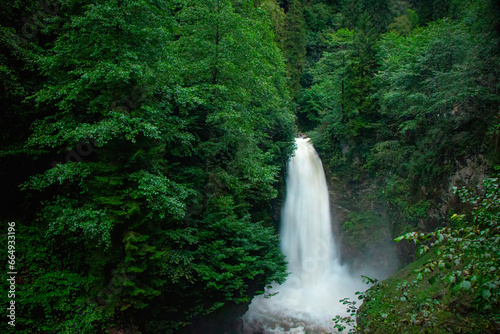 Palovit Waterfall with in the green forest, Rize