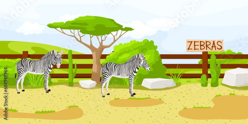African zebra standing near fence in zoo. Safari vacation. Natural wildlife. Black and white striped mammal, cartoon design. Cute character. Picturesque landscape. Wild savanna. Vector illustration