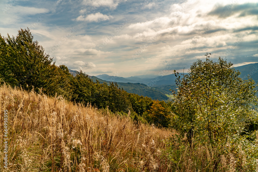 Obraz premium Polonina Wetlinska, Bieszczady mountain, Bieszczady National Park, Poland.
