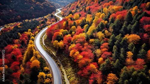 Aerial View of Autumn Forest with Vibrant Orange and Yellow Leaves