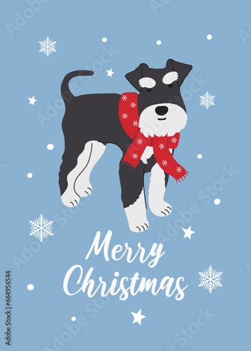 Christmas Miniature Schnauzer in hand drawn style. Greeting text Merry Christmas. Beautiful illustration for greeting cards, posters and seasonal design.