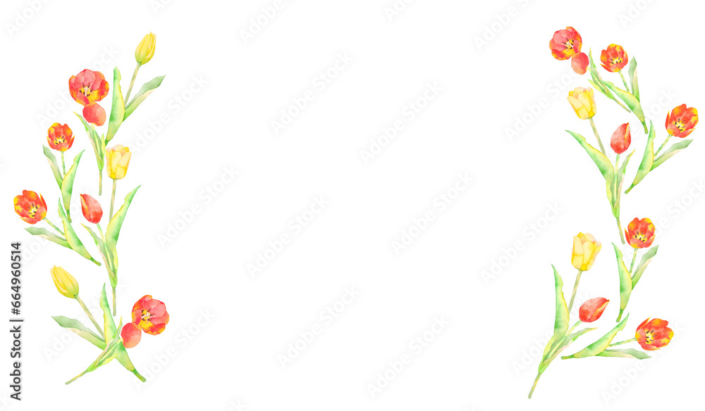Fototapeta premium 透明水彩で描いた美しいチューリップのイラストフレーム