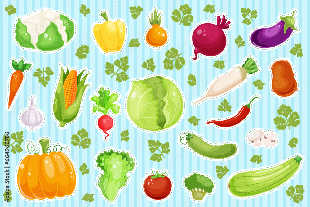 Stickers of various fresh vegetables with outlines. Healthy vegetarian food. Collection of pepper, pumpkin, carrot, mushroom, tomato, potato, corn. Vitamin diet, autumn harvest. Vector illustration Stickers of various fresh vegetables with outlines. Healthy vegetarian food. Collection of pepper, pumpkin, carrot, mushroom, tomato, potato, corn. Vitamin diet, autumn harvest. Vector illustration