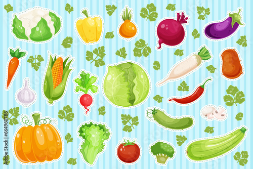 Stickers of various fresh vegetables with outlines. Healthy vegetarian food. Collection of pepper, pumpkin, carrot, mushroom, tomato, potato, corn. Vitamin diet, autumn harvest. Vector illustration