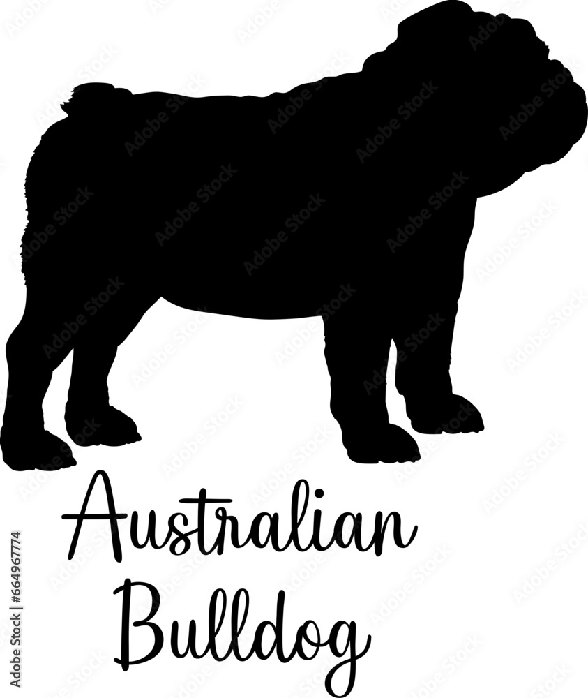 Australian Bulldog dog silhouette dog breeds Animals Pet breeds silhouette
