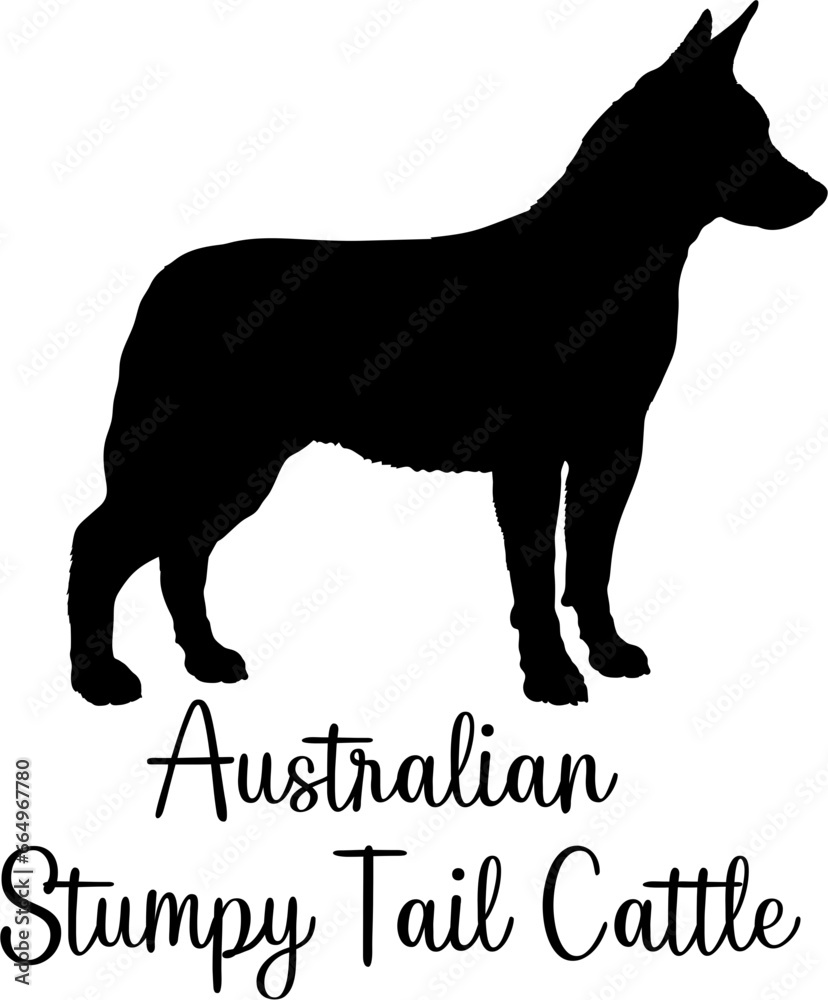 Australian Stumpy Tail Cattle dog silhouette dog breeds Animals Pet breeds silhouette
