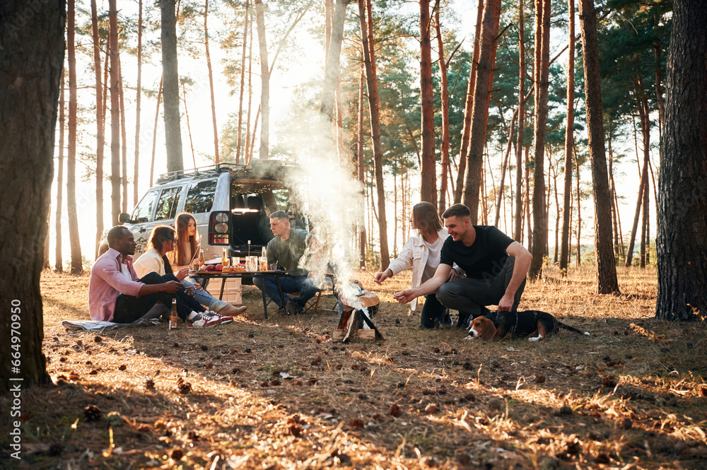 By bonfire. Group of friends are together in the forest By bonfire. Group of friends are together in the forest
