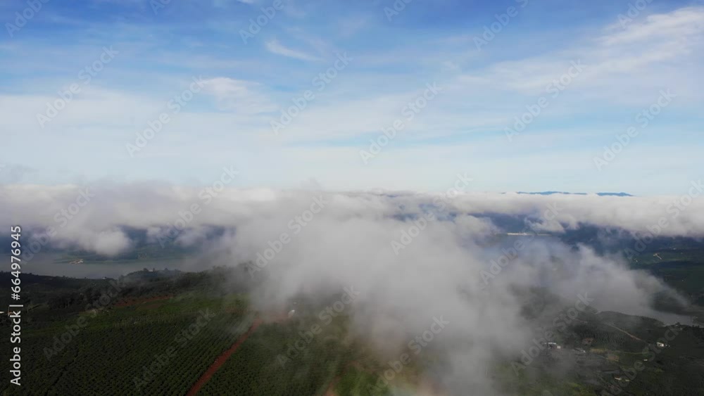 Mist spreads over the coffee hills and bare hills Mist spreads over the coffee hills and bare hills