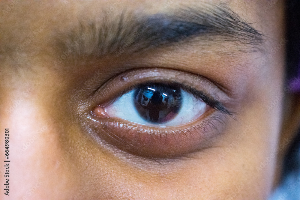 Fototapeta premium close up of a female eye