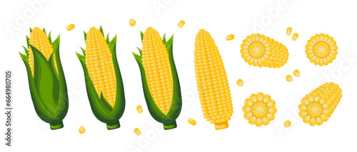 Set of corn grains and spikelets. Corn plant, Sweet corn, corn cobs, corn grains in a plate, spoon and bag. Agriculture, food icons, vector