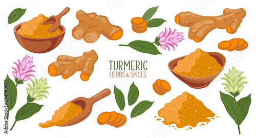 Turmeric icons set. Dry turmeric powder, turmeric roots, slices and flowers. Herbs and spices. Curcumin. Botanical illustration, vector