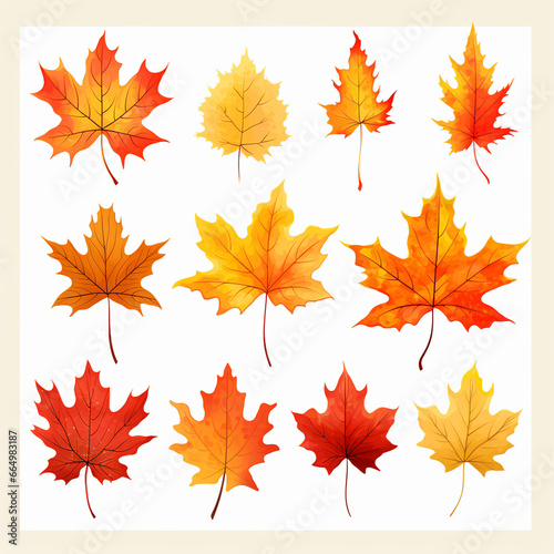 BEAUTIFUL AND ATTRACTIVE AUTOMN LEAVES ON TRANSPARENT WHITE BACKGROUND LANDSCAPE
