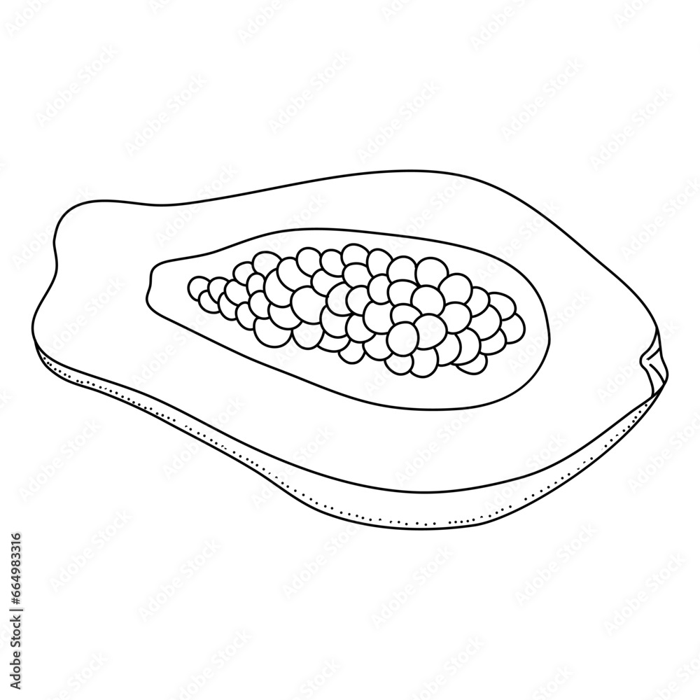 Papaya fruit in doodle style, linear art. Design element isolated on white background. Papaya fruit in doodle style, linear art. Design element isolated on white background.