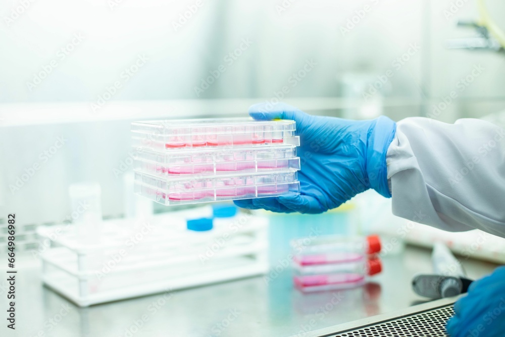 Expert holding a small tray filled with red sample for experiments