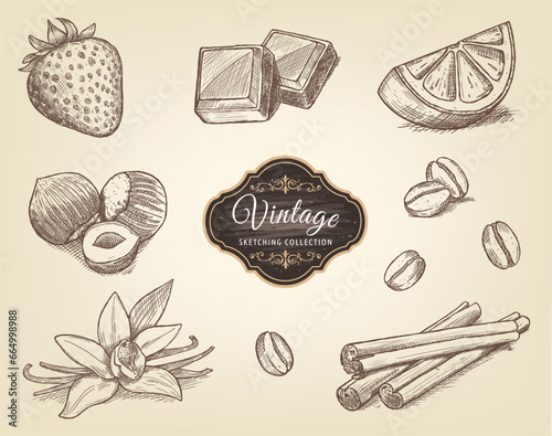 Vintage sketches of Strawberry, orange, chocolate, vanilla cinnamon, hazelnuts, walnuts, almonds and coffee beans Vegetarian, organic food. Vector Illustration. 