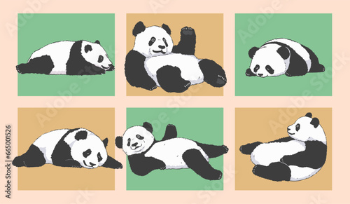 Cute Cartoon adorable lazy pandas lying down Illustration Set