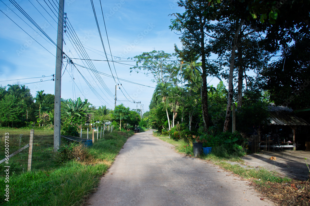 View landscape village rural countryside and life lifestyle of local thai people and small alley street road in forest mountain morning time at Thale Noi in Phatthalung, Thailand