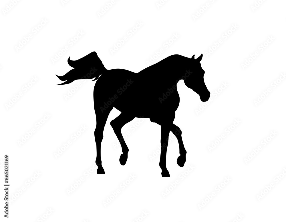 Arabian horse black silhouette
