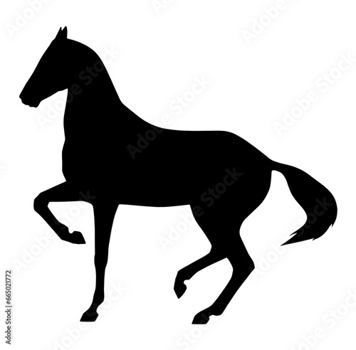 Silhouette of a dancing horse. Vector illustration on a white background