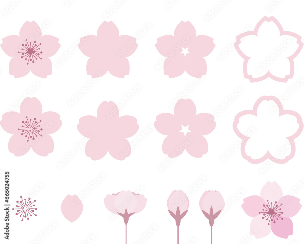 白背景の桜の花のイラスト素材セット