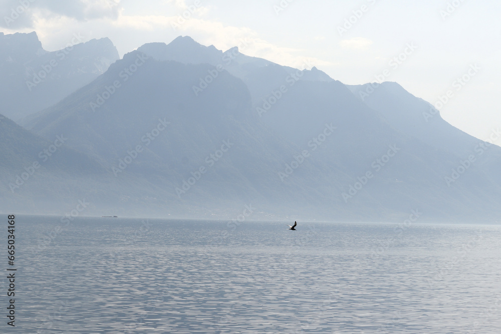 Bird Gliding in Front of Peaceful Mountain Lake Scene