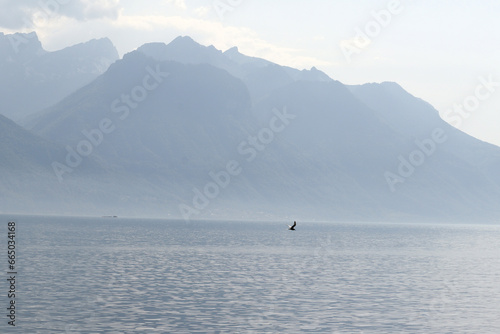 Bird Gliding in Front of Peaceful Mountain Lake Scene
