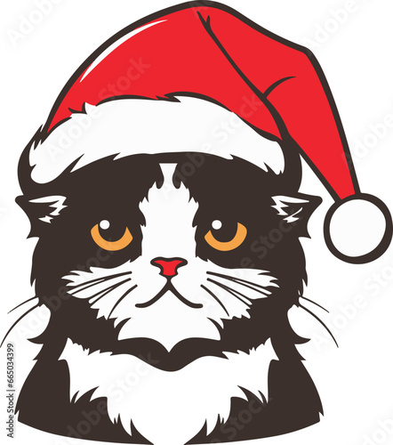 Scottish fold cat with santa hat