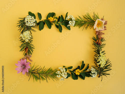 Creative spring layout made of pine tree, white, purple and pink flowers against yellow background. Minimal spring concept. Creative spring idea. Flowers frame. Flat lay.