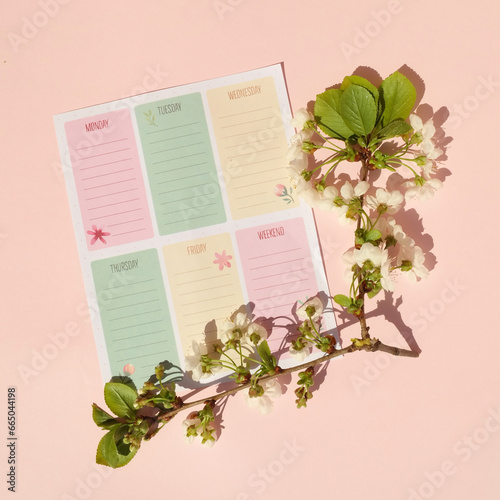 Creative spring layout made of cherry blossom and colorful daily planner. Nature concept. Flat lay. Pastel pink background.