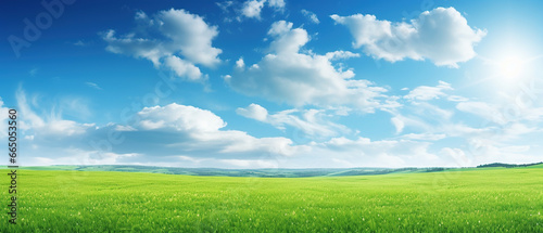 Panoramic natural landscape with green grass field meadow and blue sky with clouds  bright sun and horizon line. Panorama summer spring grassland in sunny day.