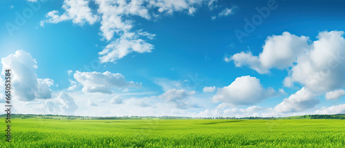 Panoramic natural landscape with green grass field meadow and blue sky with clouds, bright sun and horizon line. Panorama summer spring grassland in sunny day.