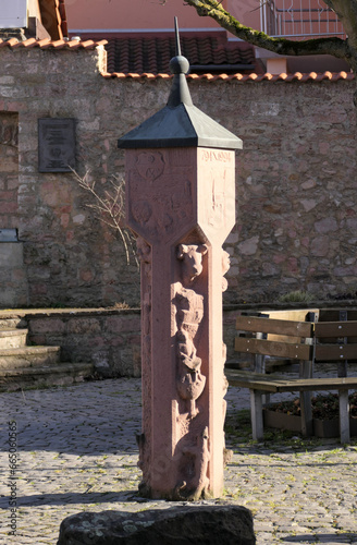 Statue am Rathaus in Pflaumheim photo