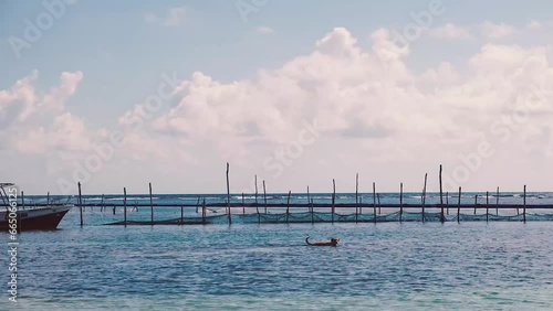 Mahahual and Bacalar Beach and Lagoon in Quintana Roo Mexico photo