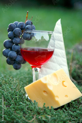 A glass of red wine in a glass of grapes and cheese. Composition of red wine cheese and grape bunch in the garden.