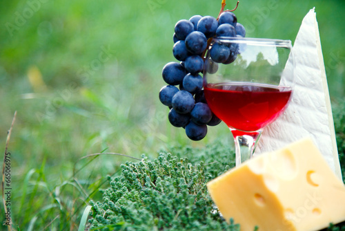 A glass of red wine in a glass of grapes and cheese. Composition of red wine cheese and grape bunch in the garden.