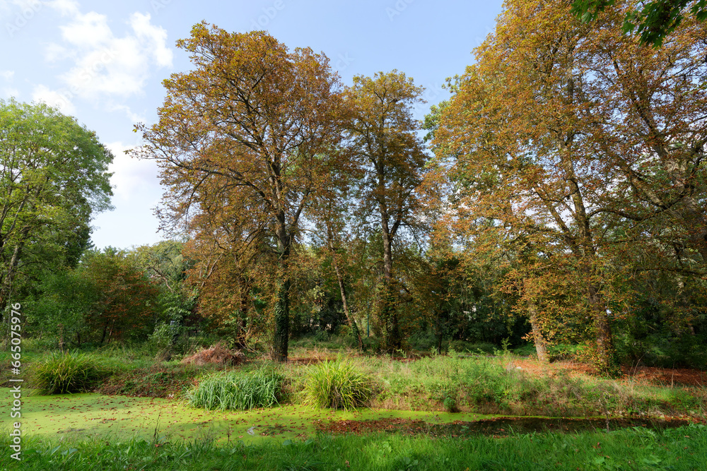 Canal of the Vincennes wood. in the 12th arrondissement of Paris city Canal of the Vincennes wood. in the 12th arrondissement of Paris city