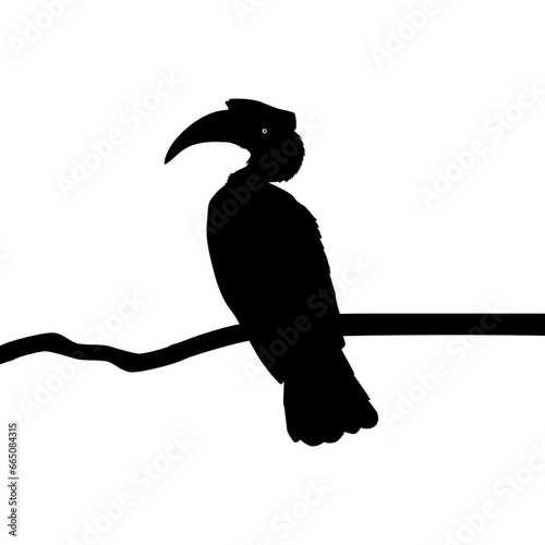 Great Horn Bird Silhouette Perched on the Branch Tree Silhouette. Vector Illustration
