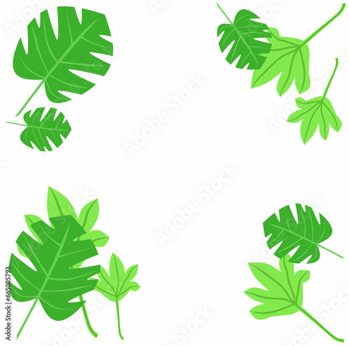Montera leaf vector illustration. With isolated white background. Suitable for background design.