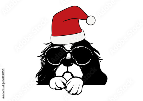 Fotografia cavalier king charles spaniel dog with christmas hat