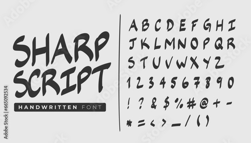 Felt Pen Handwritten Caligraphy Vector Font 