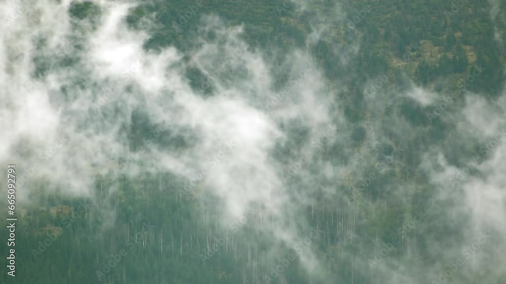 Mountain landscape with tress in fog. Calm nature scene, day, land, hills, hill, clouds, natural, pines, overcast, wind, haze, mist, misty, cloud, foggy, hazy, view, motion, close up. ProRes 422 HQ. Mountain landscape with tress in fog. Calm nature scene, day, land, hills, hill, clouds, natural, pines, overcast, wind, haze, mist, misty, cloud, foggy, hazy, view, motion, close up. ProRes 422 HQ.