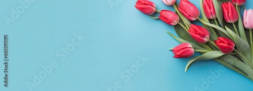 Bouquet of red tulip on blue Background. Top view with copy space.